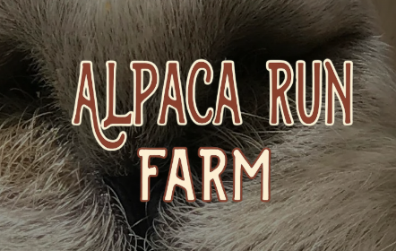 Alpaca Run Farm